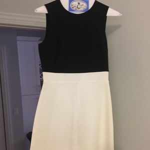 Theory black and white dress